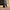 32" Sky Rover XL Suitcase - Black