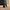 32" Sky Rover XL Suitcase - Army Green