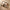 24" Air Glide Medium Suitcase - Beige
