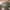 32" Sky Rover XL Suitcase - Army Green