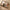 32" Air Glide XL Suitcase - Beige