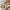 24" Air Glide Medium Suitcase - Beige