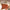 15" Soft Cabin Bag - Orange