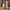 Woman rolling LUGG Sage Green medium suitcase smoothly over a cobbled street