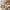20" Air Glide Cabin Suitcase - Ivory