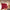 20" Mars Soft Cabin Bag - Red