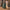 Woman rolling LUGG Army Green medium suitcase smoothly over a cobbled street