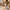 Woman rolling Hazy cabin bag through courtyard, smooth-gliding 360 spinner wheels