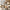 28" Air Glide Large Suitcase - Beige