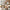 32" Air Glide XL Suitcase - Beige
