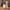 Cream & Brown cabin suitcase rolling on cobblestones, 4-wheel spinner hand luggage in city