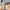 Woman walking a Stone large hard shell suitcase along a seaside promenade