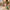 Woman rolling Forest cabin bag through courtyard, smooth-gliding 360 spinner wheels