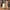 Woman rolling LUGG Cream & Brown medium suitcase smoothly over a cobbled street