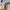 Woman walking a Army Green large hard shell suitcase along a seaside promenade