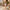 Woman rolling Earth cabin bag through courtyard, smooth-gliding 360 spinner wheels