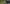 Promotion banner
