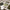 Sage Green luggage tags with passport, boarding pass and sunglasses, 6.5x10.5cm
