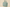 Travel Bag - Sage Green